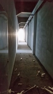 IMG-20160113-WA0007