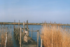 Vecchio pontile