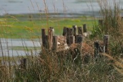 valli Parco del Delta del PO