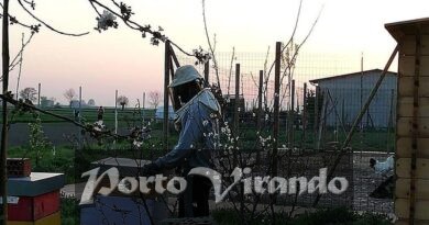 L’APE, UN BENE COMUNE-A FEBBRAIO IL PRIMO CORSO PER APICOLTORI. L’APE, UN BENE COMUNE-A FEBBRAIO IL PRIMO CORSO PER APICOLTORI.